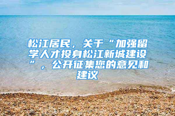 松江居民，关于“加强留学人才投身松江新城建设”，公开征集您的意见和建议→