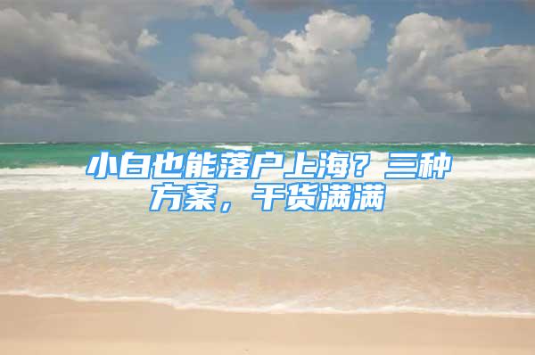 小白也能落户上海？三种方案，干货满满