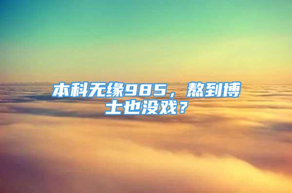 本科无缘985，熬到博士也没戏？