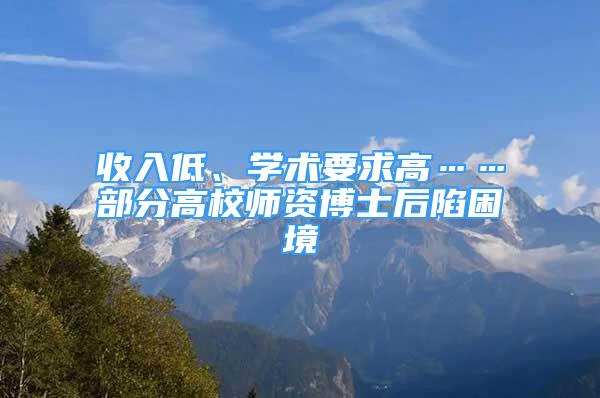 收入低、学术要求高……部分高校师资博士后陷困境