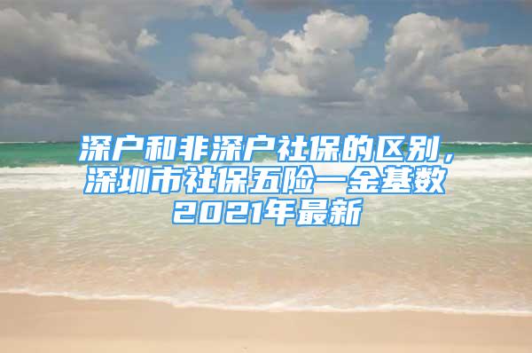 深户和非深户社保的区别，深圳市社保五险一金基数2021年最新