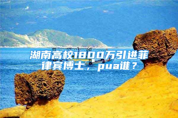 湖南高校1800万引进菲律宾博士，pua谁？