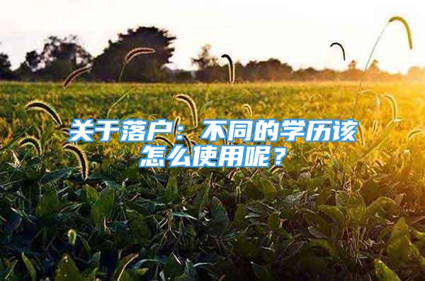 关于落户：不同的学历该怎么使用呢？