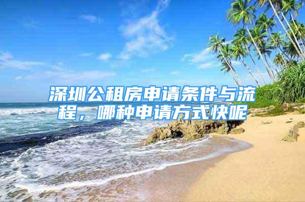 深圳公租房申请条件与流程，哪种申请方式快呢