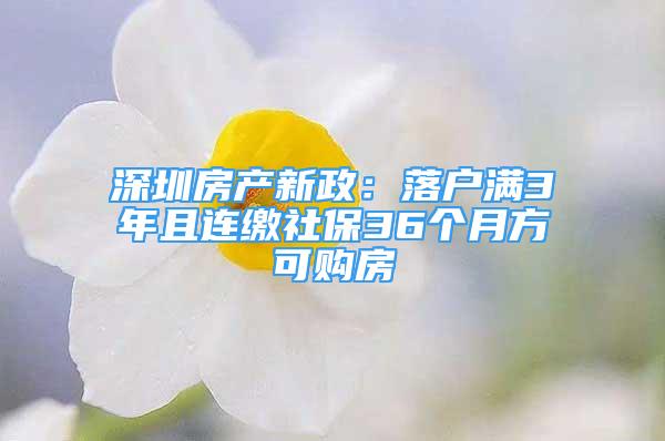 深圳房产新政：落户满3年且连缴社保36个月方可购房