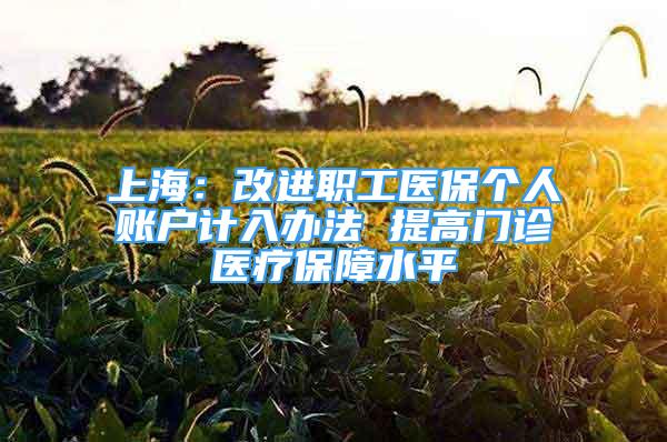 上海：改进职工医保个人账户计入办法 提高门诊医疗保障水平