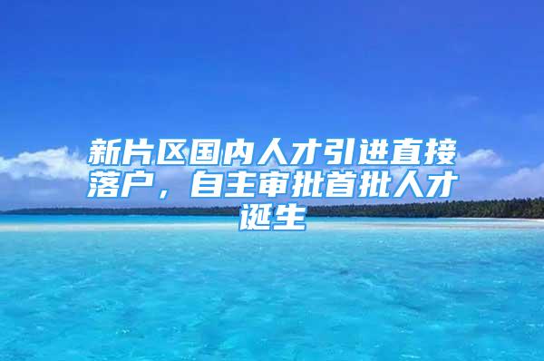 新片区国内人才引进直接落户，自主审批首批人才诞生