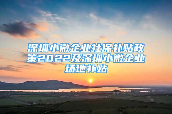 深圳小微企业社保补贴政策2022及深圳小微企业场地补贴