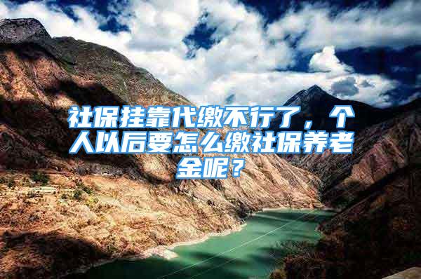 社保挂靠代缴不行了，个人以后要怎么缴社保养老金呢？