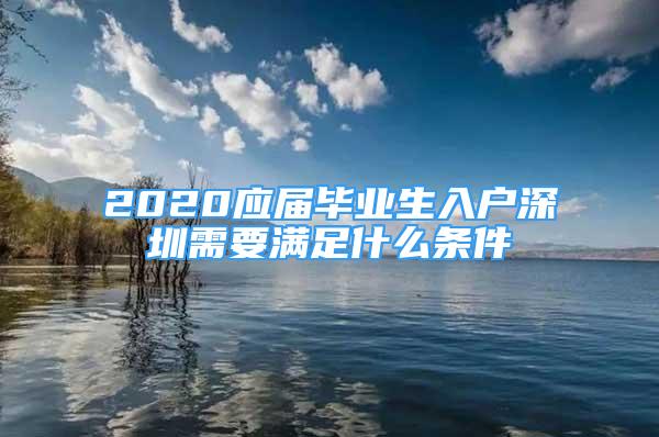 2020应届毕业生入户深圳需要满足什么条件