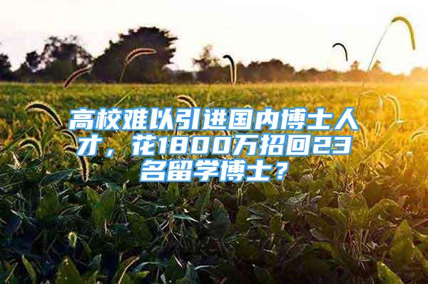 高校难以引进国内博士人才，花1800万招回23名留学博士？