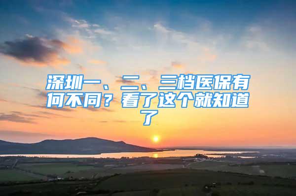 深圳一、二、三档医保有何不同？看了这个就知道了