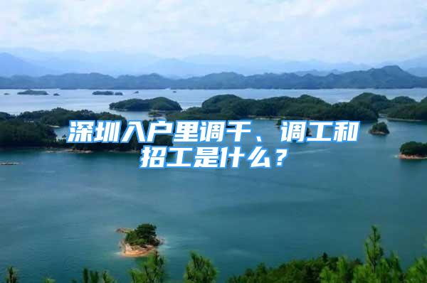 深圳入户里调干、调工和招工是什么？