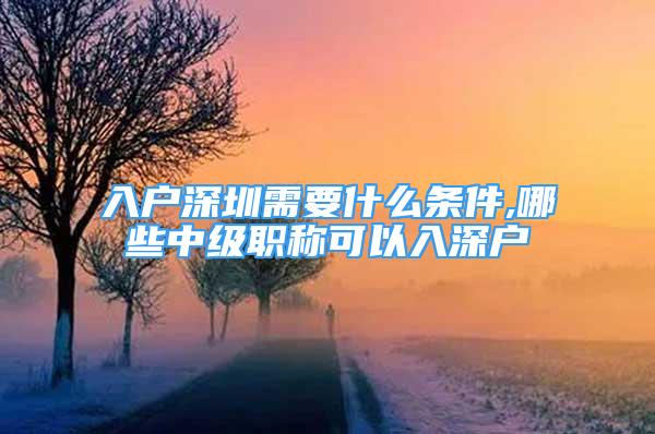 入户深圳需要什么条件,哪些中级职称可以入深户