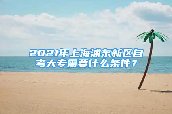 2021年上海浦东新区自考大专需要什么条件？