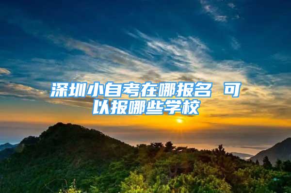 深圳小自考在哪报名 可以报哪些学校