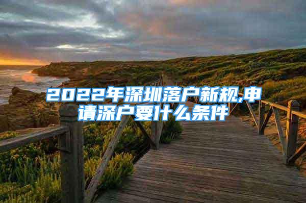 2022年深圳落户新规,申请深户要什么条件