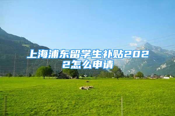 上海浦东留学生补贴2022怎么申请