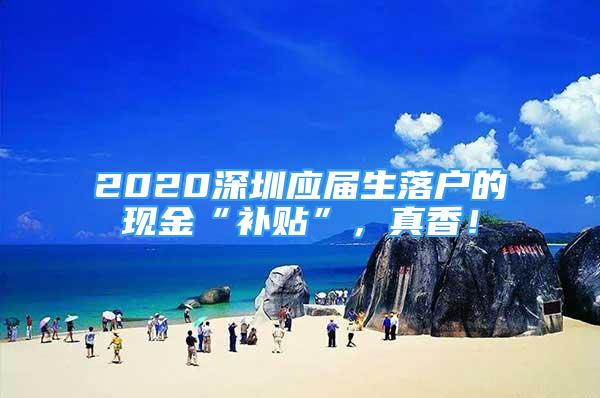 2020深圳应届生落户的现金“补贴”，真香！