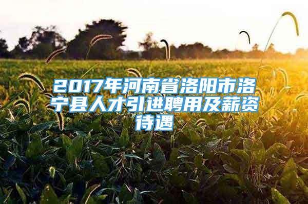 2017年河南省洛阳市洛宁县人才引进聘用及薪资待遇