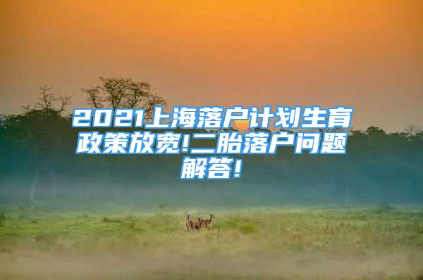 2021上海落户计划生育政策放宽!二胎落户问题解答!