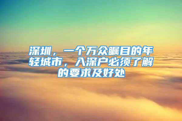 深圳，一个万众瞩目的年轻城市，入深户必须了解的要求及好处