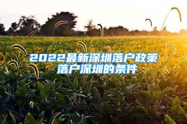 2022最新深圳落户政策 落户深圳的条件