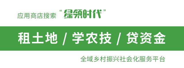 2019年停止转户口？想转户口的人怎么办，到底怎么回事？