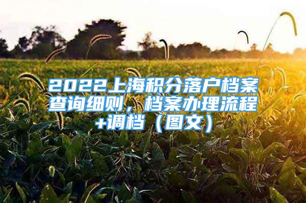 2022上海积分落户档案查询细则，档案办理流程+调档（图文）