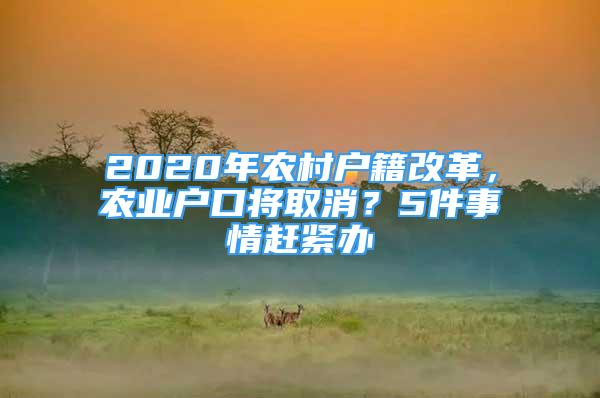 2020年农村户籍改革，农业户口将取消？5件事情赶紧办