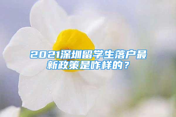 2021深圳留学生落户最新政策是咋样的？