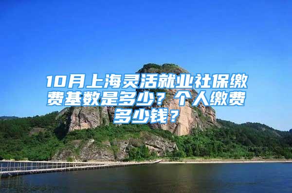 10月上海灵活就业社保缴费基数是多少？个人缴费多少钱？