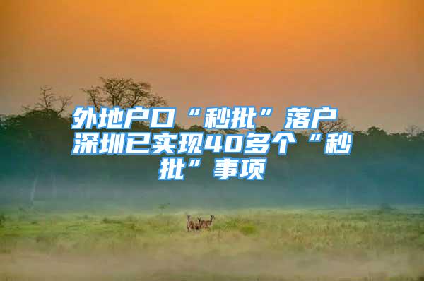 外地户口“秒批”落户 深圳已实现40多个“秒批”事项