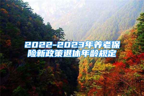 2022-2023年养老保险新政策退休年龄规定