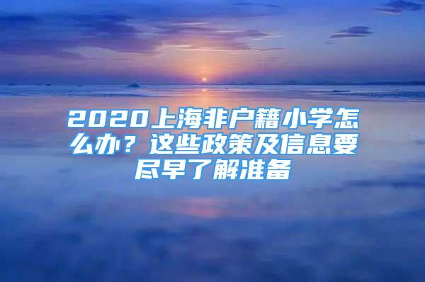 2020上海非户籍小学怎么办？这些政策及信息要尽早了解准备