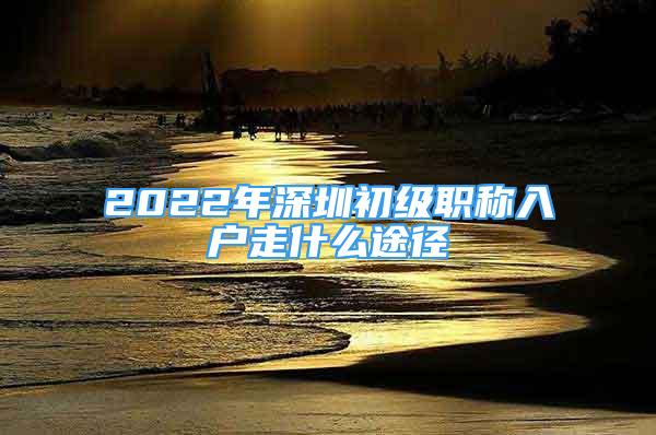 2022年深圳初级职称入户走什么途径