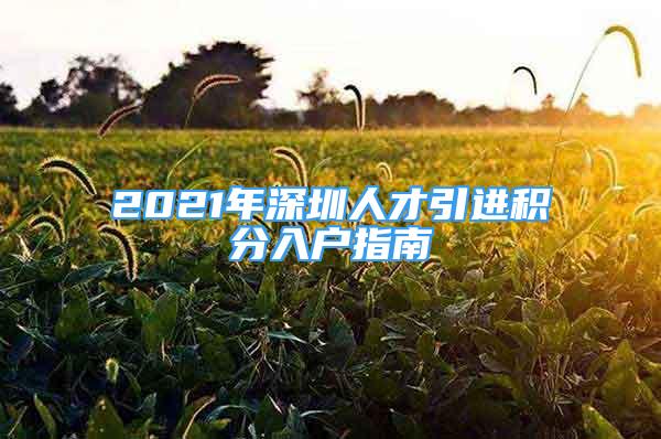 2021年深圳人才引进积分入户指南