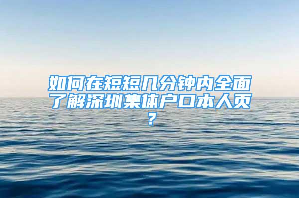 如何在短短几分钟内全面了解深圳集体户口本人页？