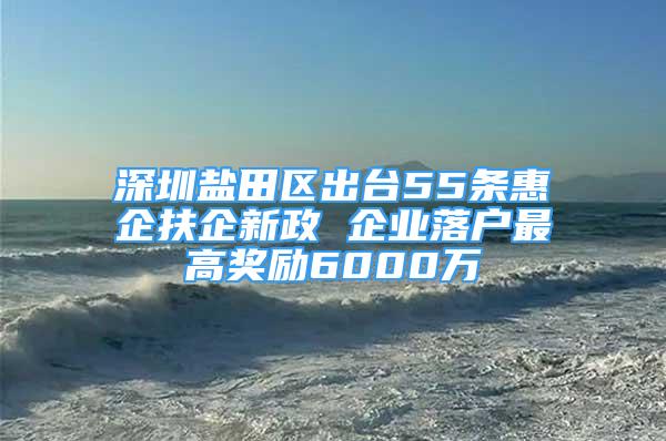 深圳盐田区出台55条惠企扶企新政 企业落户最高奖励6000万