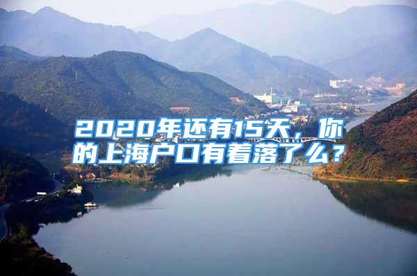 2020年还有15天，你的上海户口有着落了么？