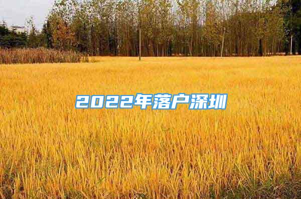 2022年落户深圳