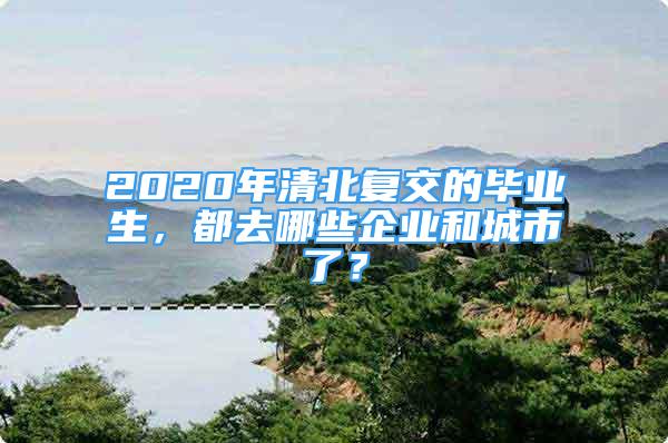 2020年清北复交的毕业生，都去哪些企业和城市了？