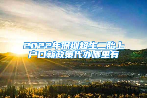 2022年深圳超生二胎上户口新政策代办哪里有