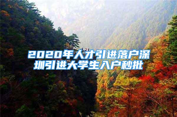 2020年人才引进落户深圳引进大学生入户秒批