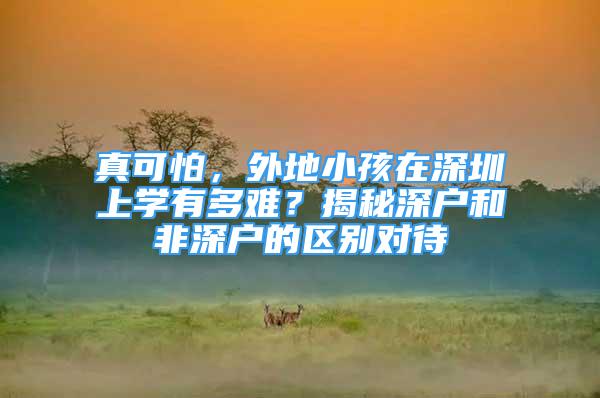 真可怕，外地小孩在深圳上学有多难？揭秘深户和非深户的区别对待