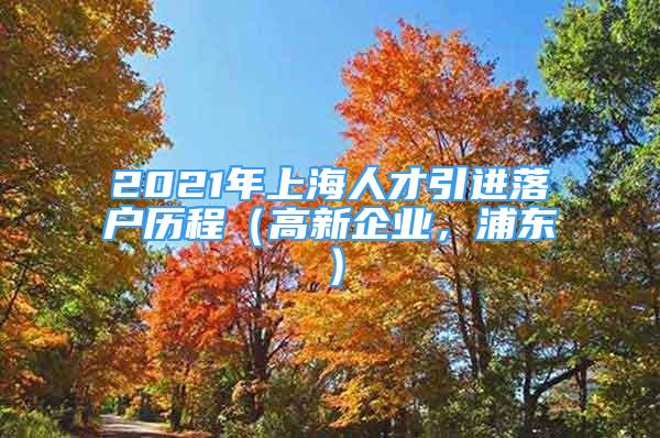 2021年上海人才引进落户历程（高新企业，浦东）