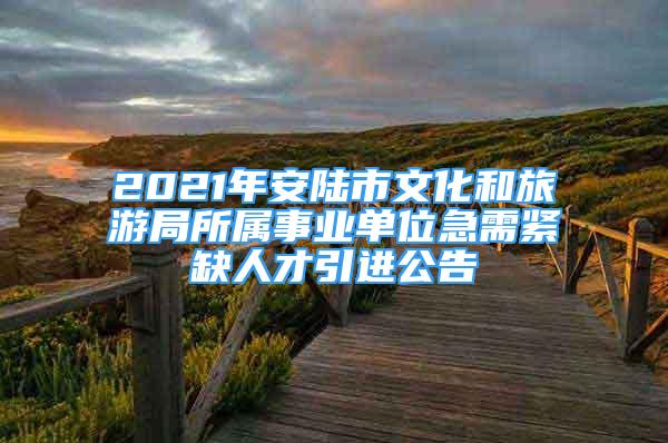 2021年安陆市文化和旅游局所属事业单位急需紧缺人才引进公告