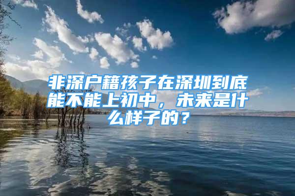 非深户籍孩子在深圳到底能不能上初中，未来是什么样子的？