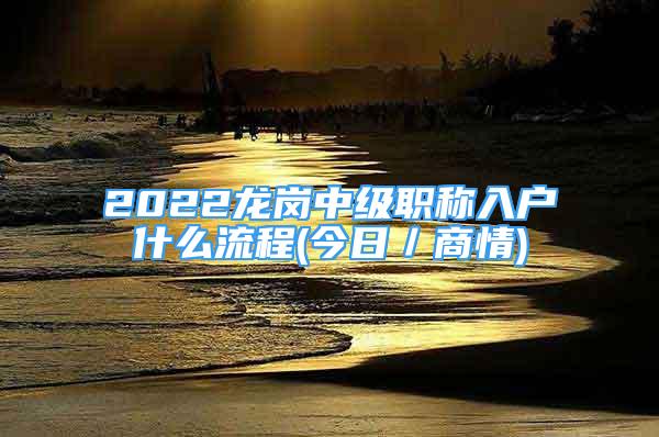 2022龙岗中级职称入户什么流程(今日／商情)