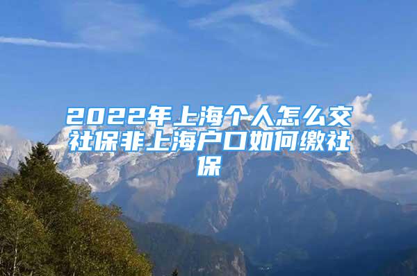 2022年上海个人怎么交社保非上海户口如何缴社保